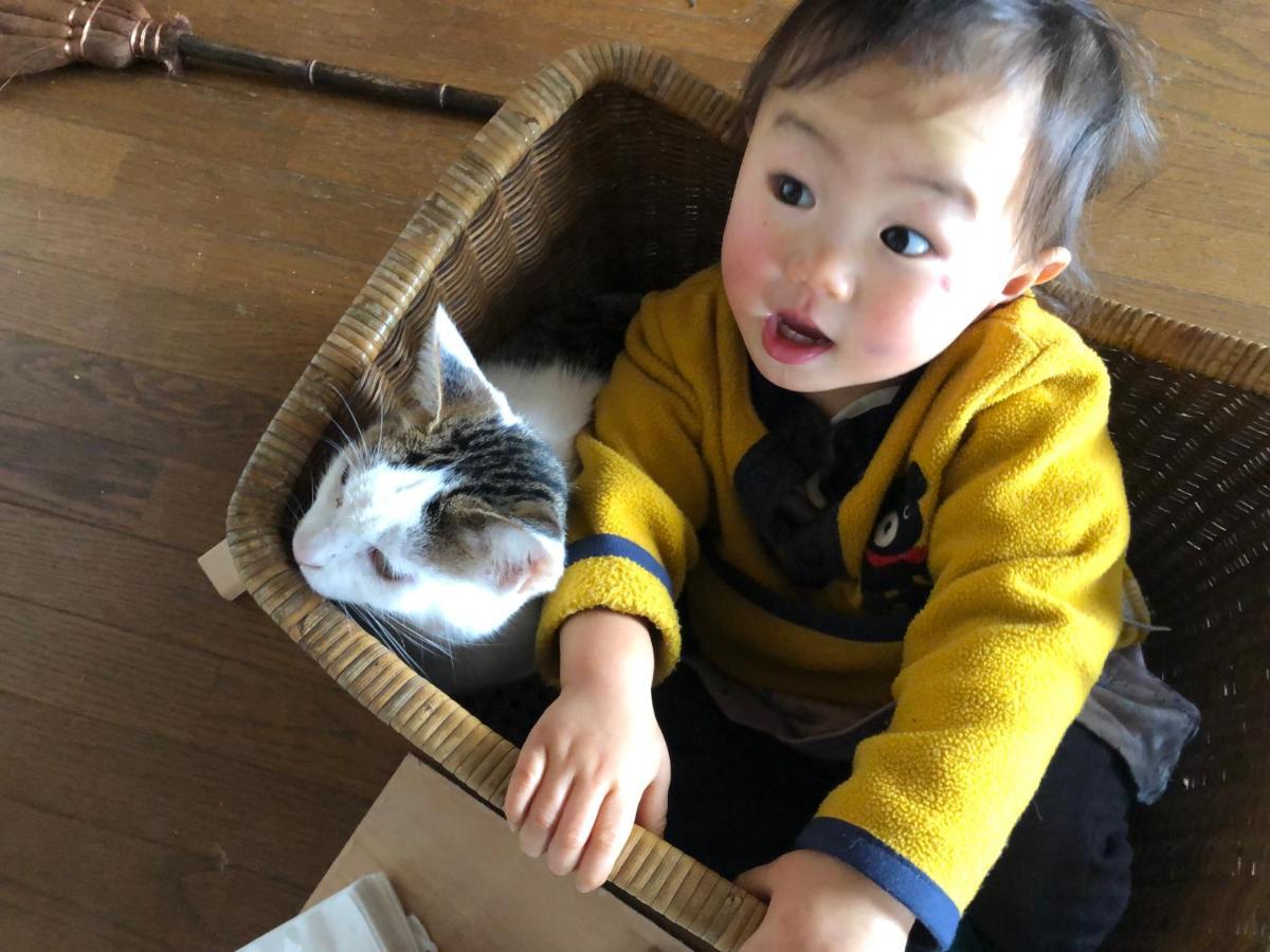 니세코 노트랙 빌라 외부 사진